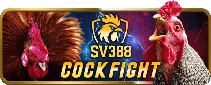 Lợi ích khi chọn Vip777 Code